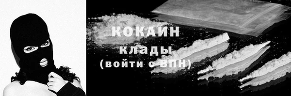 ECSTASY Богородицк