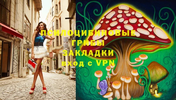 ECSTASY Богородицк