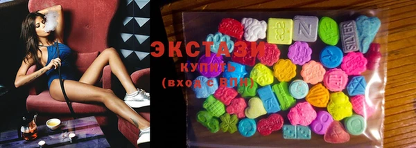 ECSTASY Богородицк