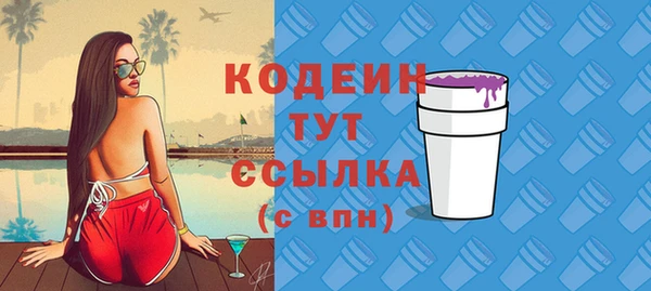 ECSTASY Богородицк