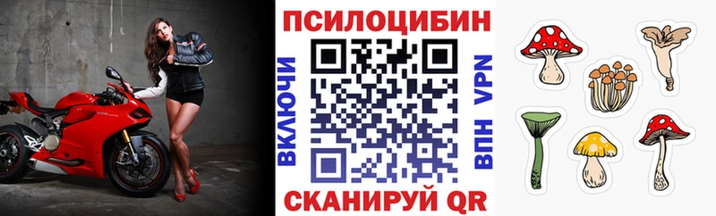 Галлюциногенные грибы Cubensis блэк спрут ссылки Астрахань