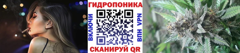 Шишки марихуана план  hydra ONION  Астрахань 